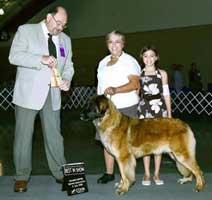 Bellawoods Ariel v Sanften Loewen